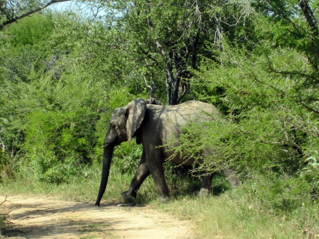 Vuyani Safari Lodge Hoedspruit Exterior photo