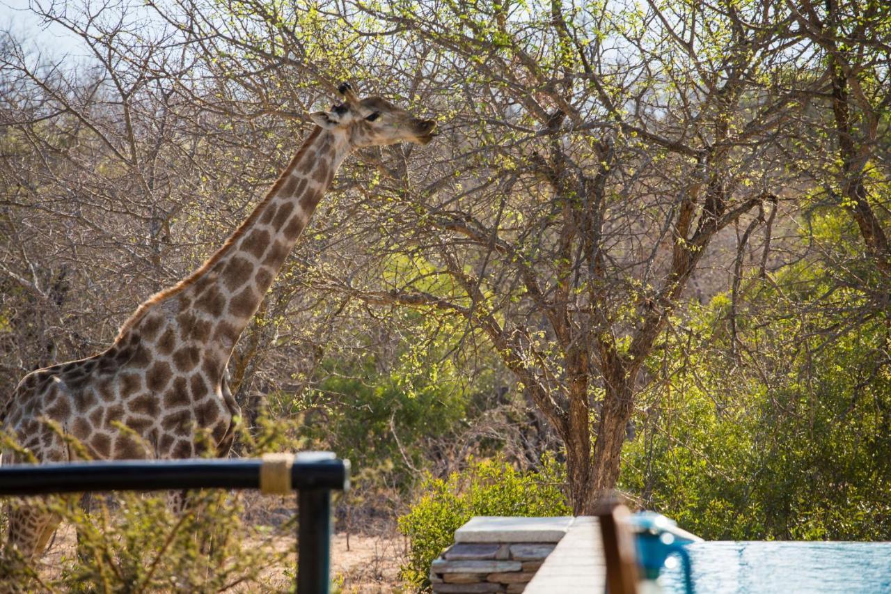 Vuyani Safari Lodge Hoedspruit Exterior photo